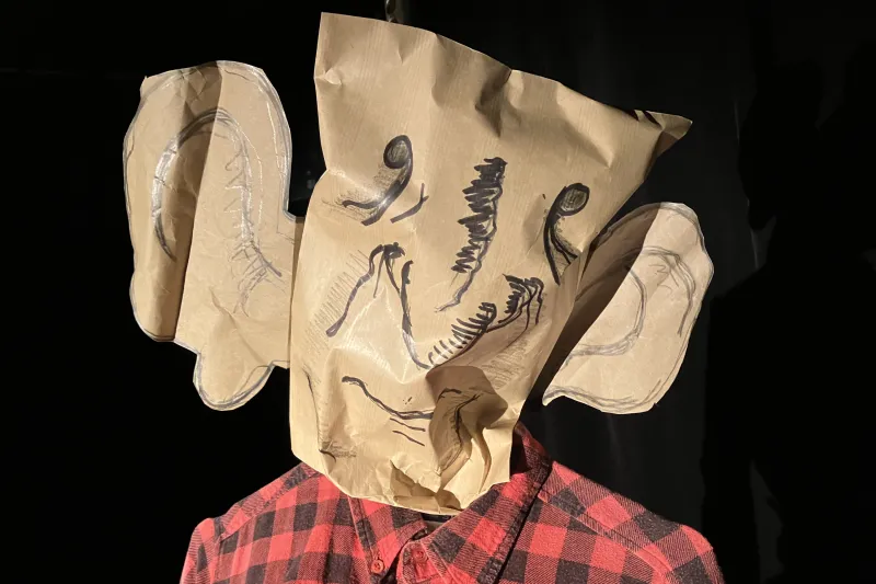 Photo d'une personne portant un masque
